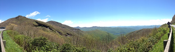 From Mt. Mitchell